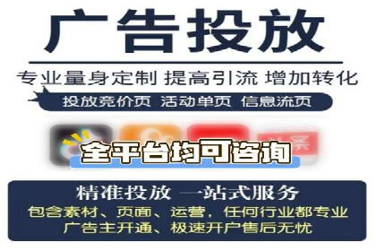 热门SEM运营公司案例深度剖析